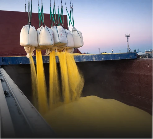 Фоновое изображение